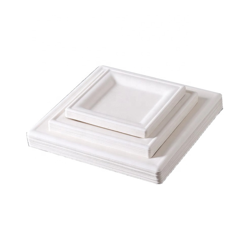 High Quality 6 Inch Microwavable Tableware Dish Disposable Compostable Sugarcane Bagasse Square Paper Plate