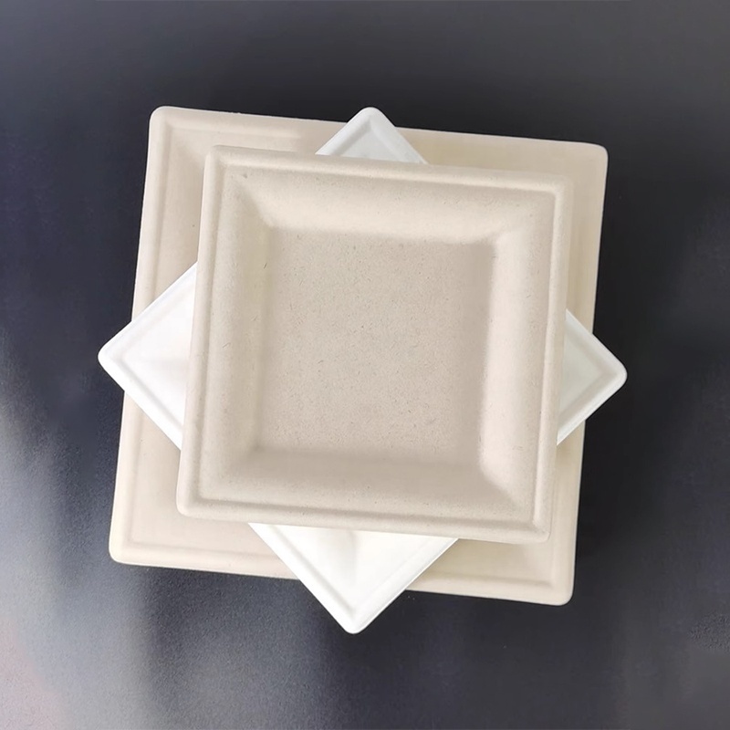 High Quality 6 Inch Microwavable Tableware Dish Disposable Compostable Sugarcane Bagasse Square Paper Plate