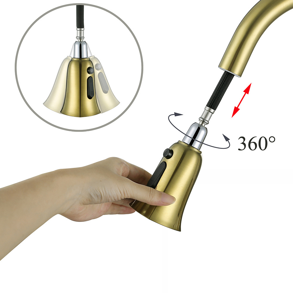 Single Handle High Arc Brushed Gold Pull Out Kitchen Faucet Single Level Brass Kitchen Sink Faucets with Pull Down Sprayer