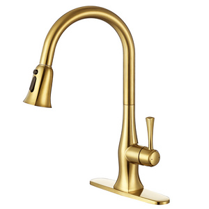 Single Handle High Arc Brushed Gold Pull Out Kitchen Faucet Single Level Brass Kitchen Sink Faucets with Pull Down Sprayer