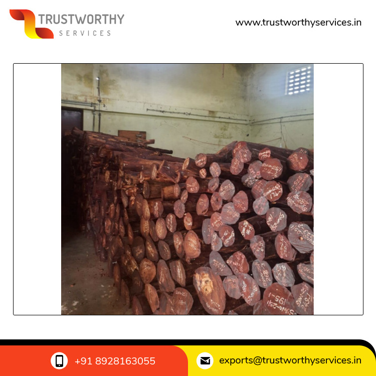 Natural Zitan Wood Red Sandalwood Logs Available Worldwide from Trusted Vendors for Medical Use at Discounted Price