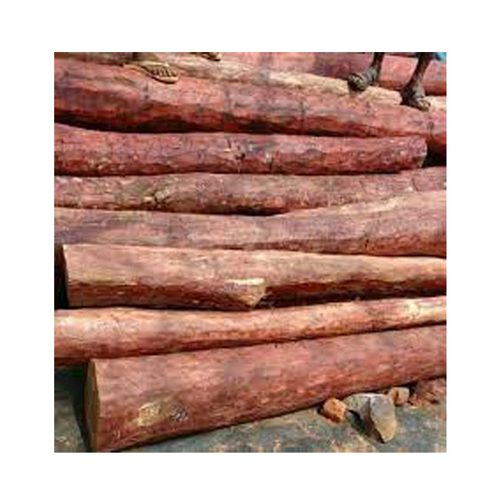 Natural Zitan Wood Red Sandalwood Logs Available Worldwide from Trusted Vendors for Medical Use at Discounted Price