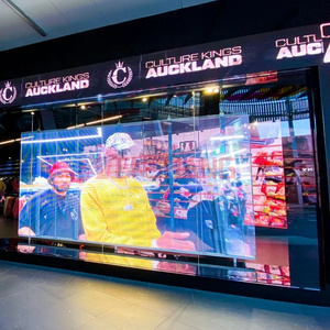 Indoor HD Full Color Advertising Led Panel Curved Outdoor Window Glass Wall 3d Film Flexible Transparent Led Screen Display