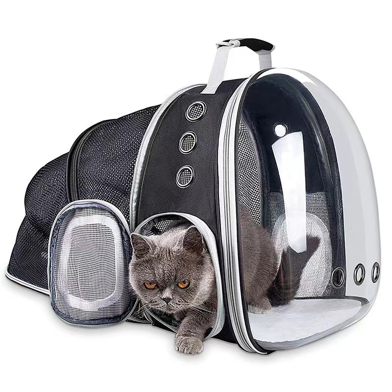 Oem Logo Customized Portable Pet Transport Cat Travel Litter Backpack Tote Carrying Carrier BackBag