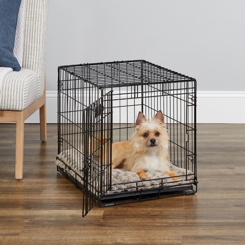 Professional Puppy Cage Large Dog Kennel Pet Cages Oiseau Pet Dog Cages Modular Crates