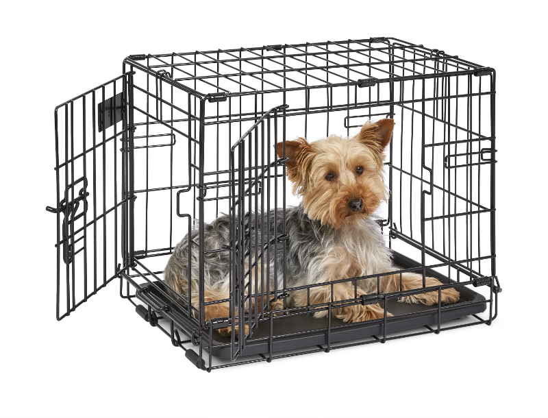 Professional Puppy Cage Large Dog Kennel Pet Cages Oiseau Pet Dog Cages Modular Crates