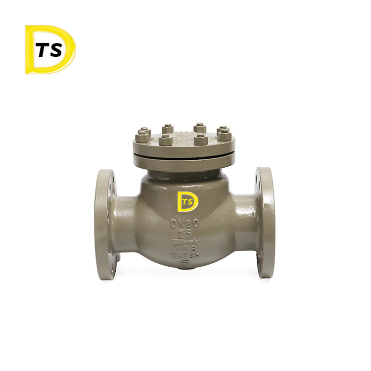 Stable Quality Price Factory  water steam Swing spring 8 inch Flange Lift Check Valve