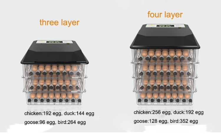 Tangshan Fengmu192 eggs Hatcher Combo Chicken Egg Incubator