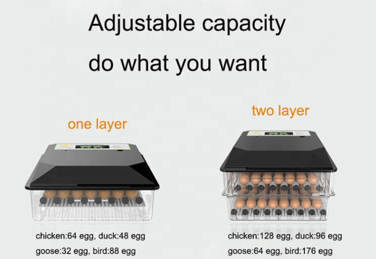 Tangshan Fengmu192 eggs Hatcher Combo Chicken Egg Incubator