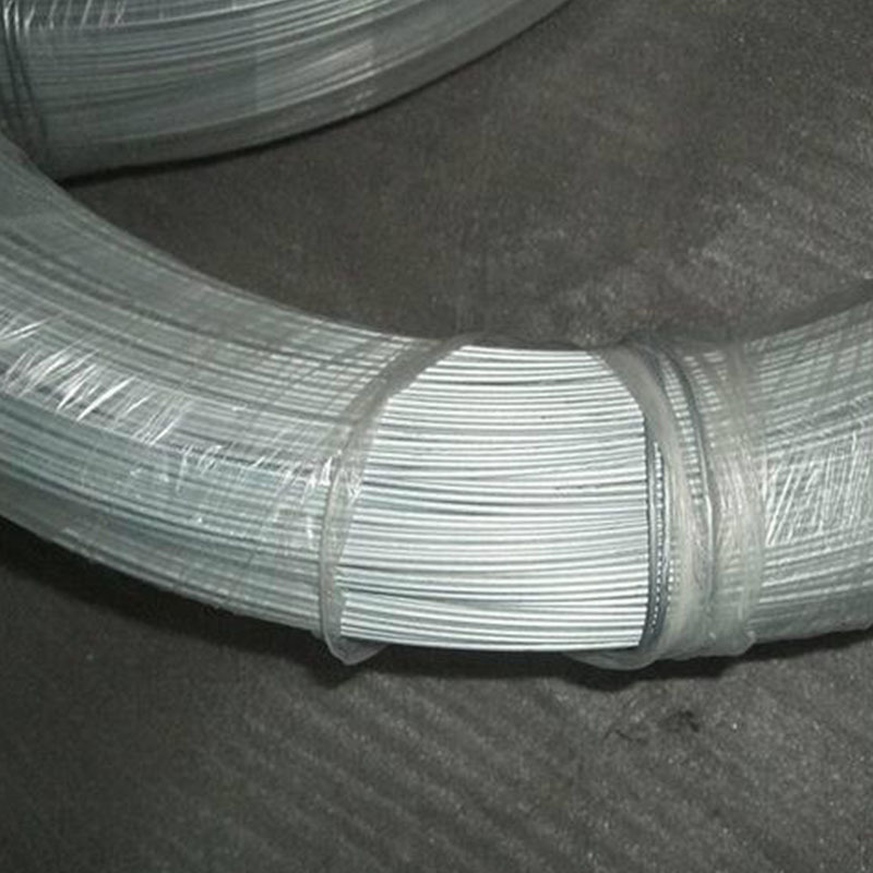 Hot Dipped Gi Galvanised Rod SAE1006B High Carbon Galvanized Steel Wire Rod Steel In Coils For Construction Factory Supply