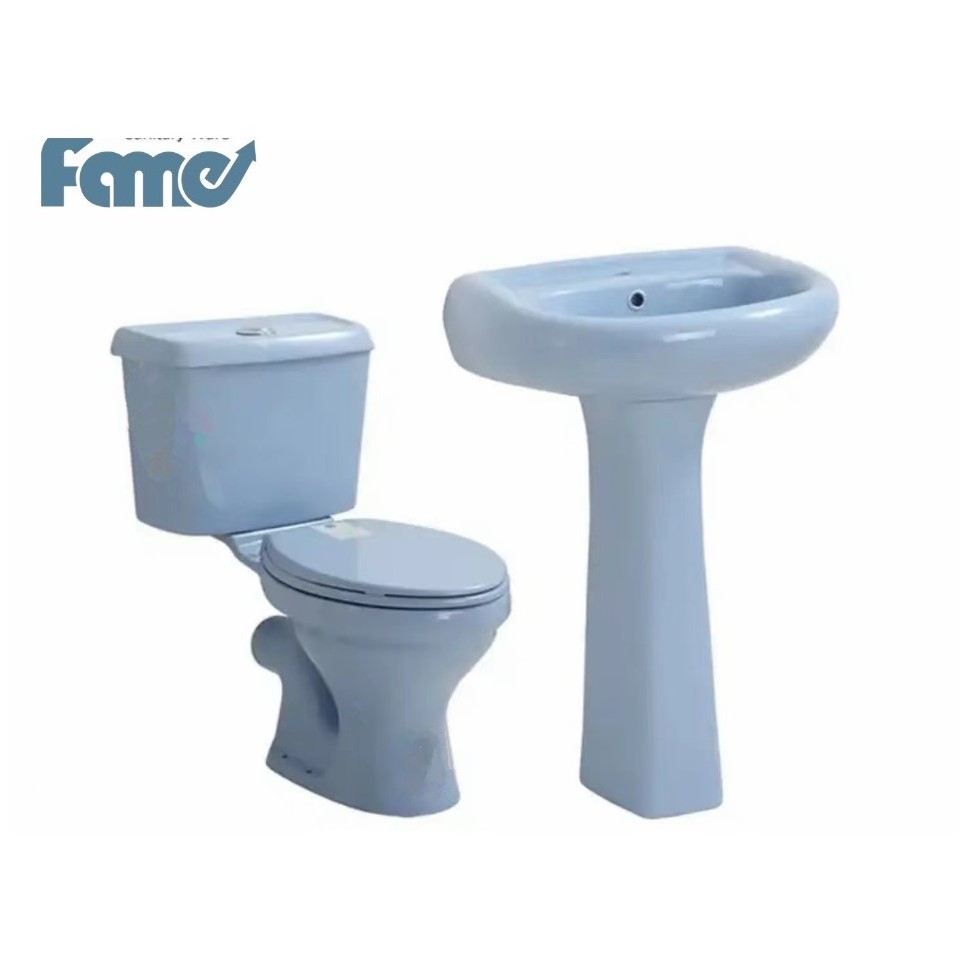 Two-piece washdown blue  toilet bowl