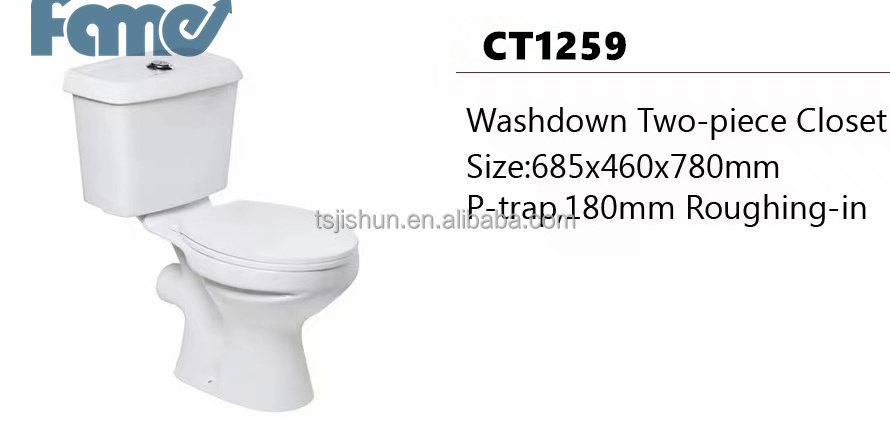 Two-piece washdown blue  toilet bowl