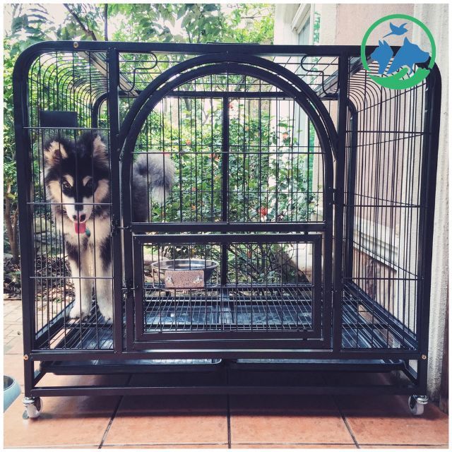 High quality Animal Dog Cage xxxl Pet Cage Breathable with skylight Collapsable Dog Crate