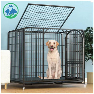 Airline Crate Puppy Cat Air Plastic Transport Air Box Dog Cage Animals Travel Carrier Cage