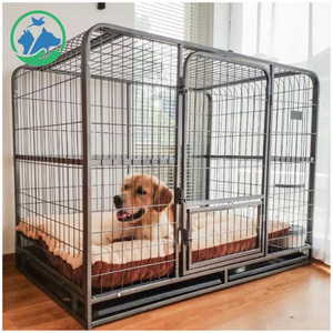 Customizable Logo/Size Multi Color Plastic Pet Flight Cage Carriers Dog Cat Shipping Box Outdoor Portable Air Transport Cage