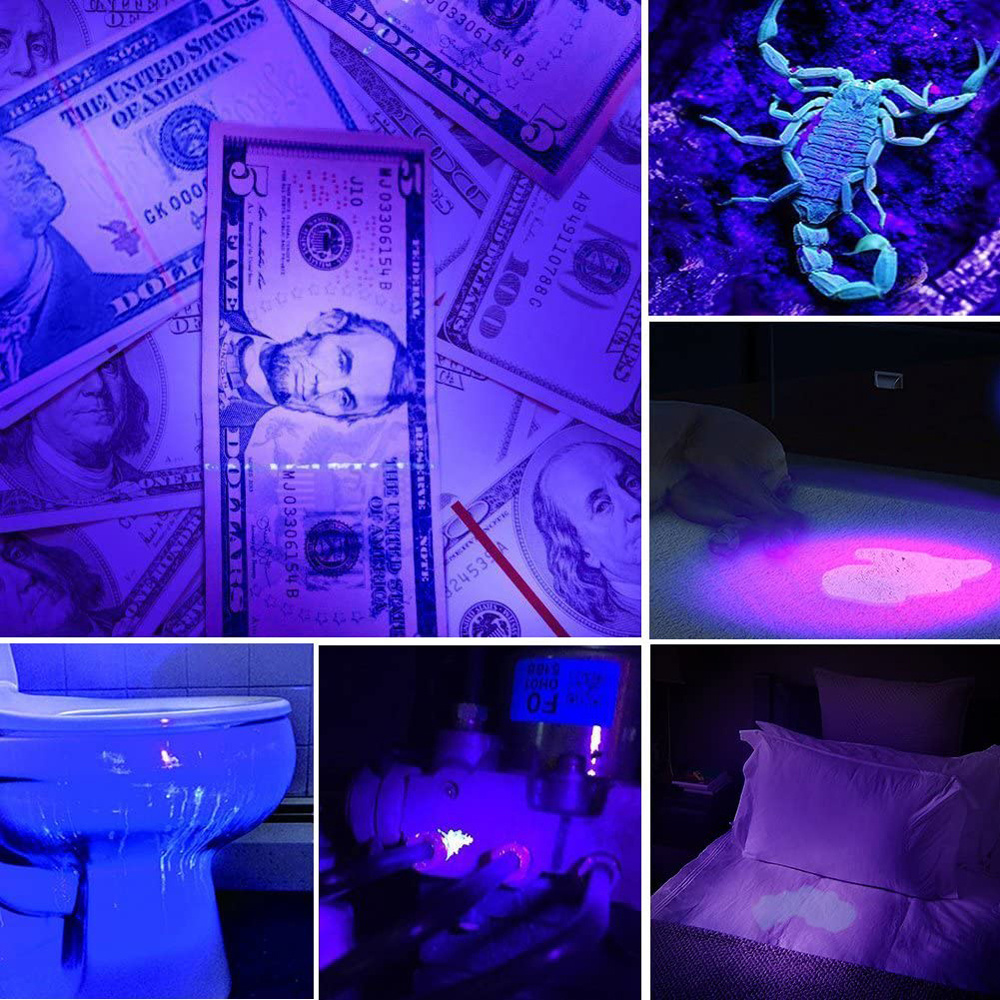 51LED uv torch light 395 nm Black Light LED Flashlights money detector Dog Urine Bed Bug uv flashlight