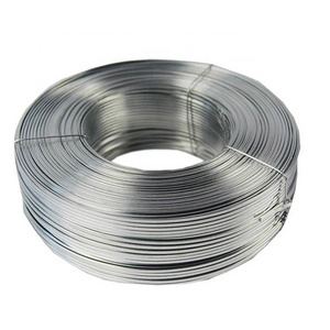 Hot Dipped Galvanized Steel Wire 12/ 16/ 18 Gauge Electro Galvanized Gi Iron Binding Wire Made in China