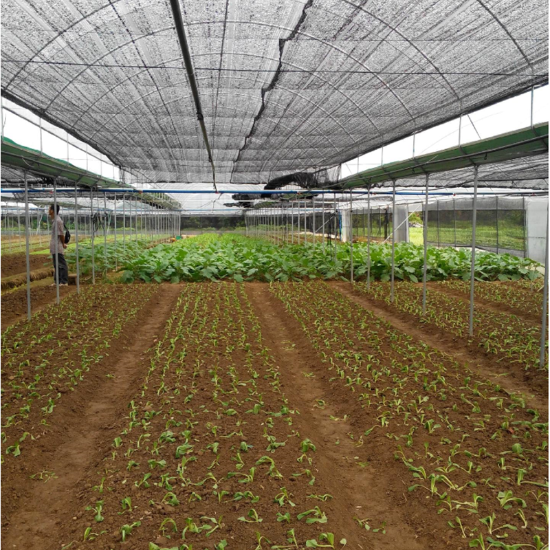 Shade Net For Green House/ Green Shade Net 90%/Greenhouse Shade System Sun Shades Net