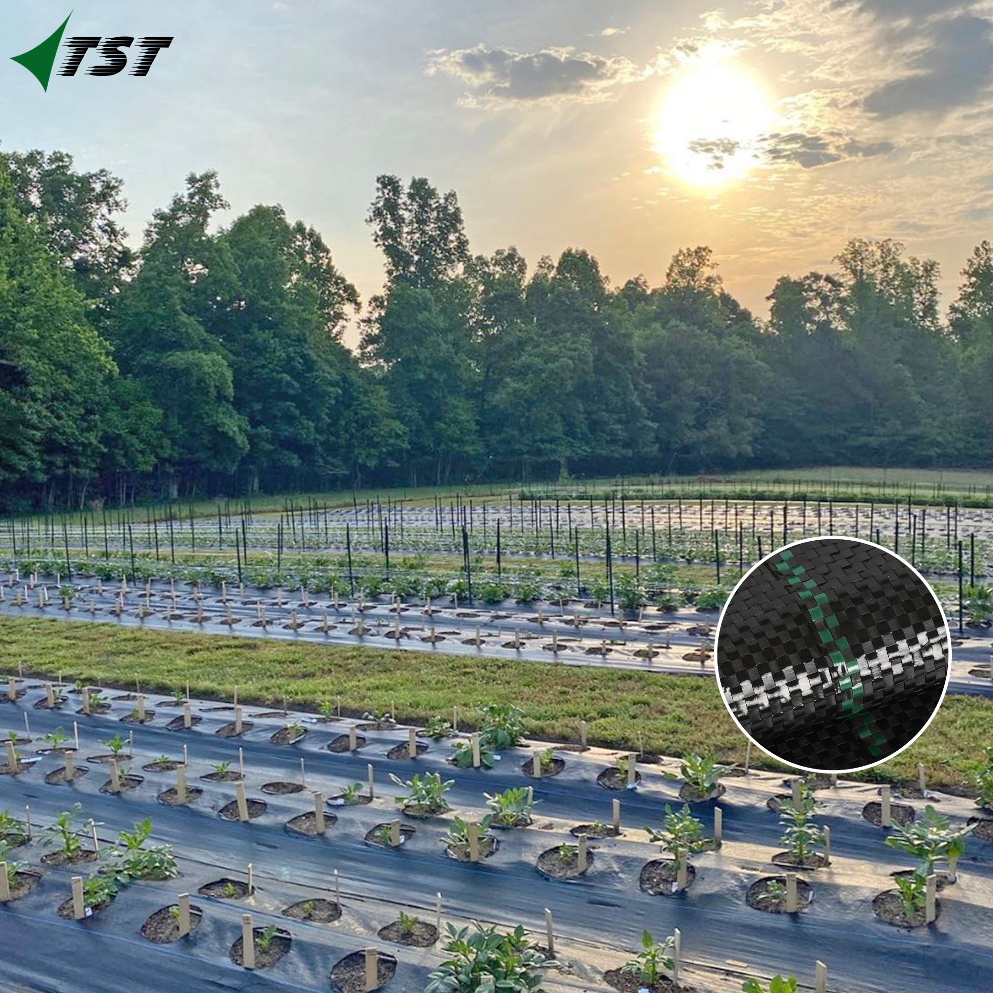 Custom made Agricultural Black PP Woven Weed Mat Weed Control Fabric Mat with waterproof material black weed control barrier