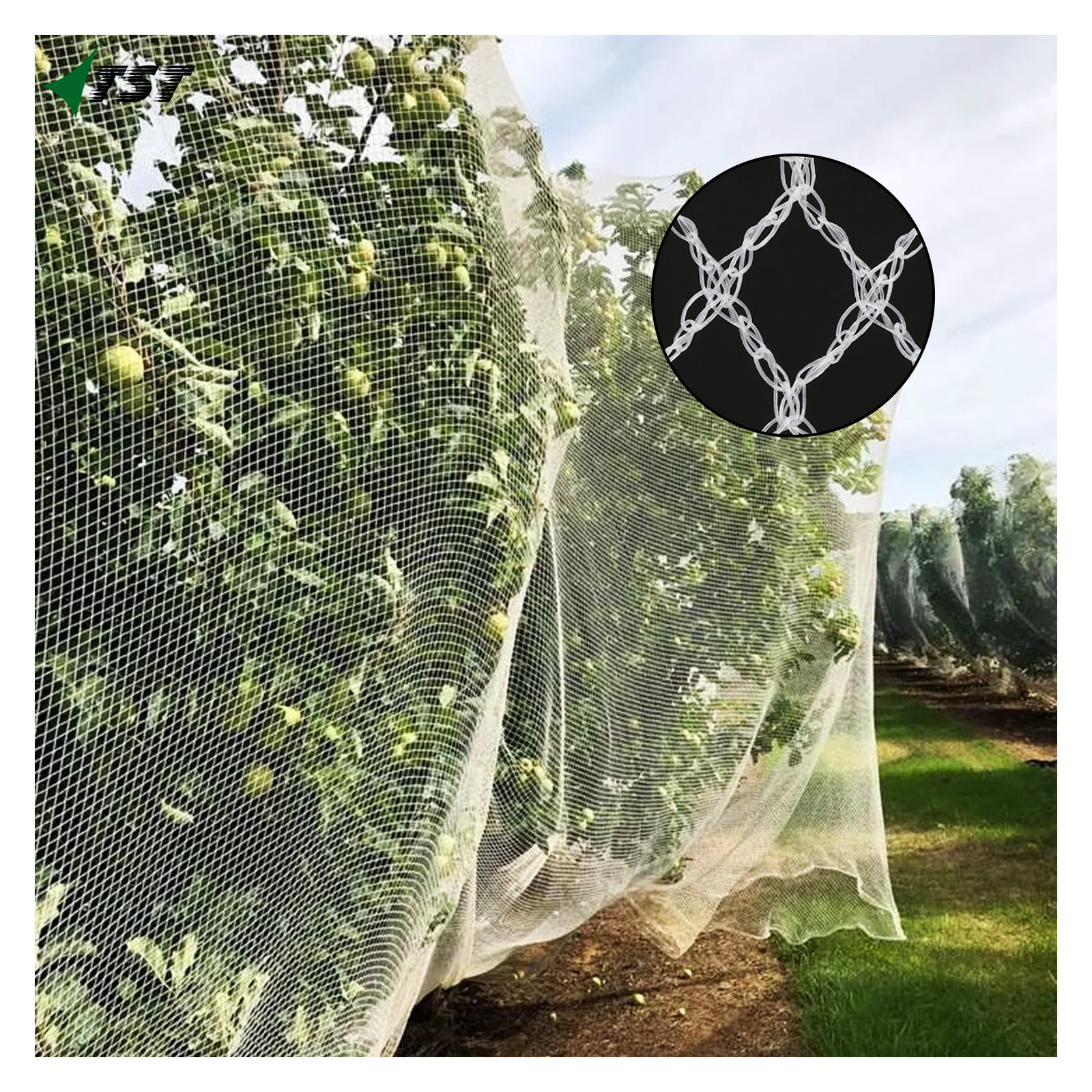 Wholesale Anti-bird Netting Blue HDPE Vineyard Bird Netting Cheap Anti Bird Netting