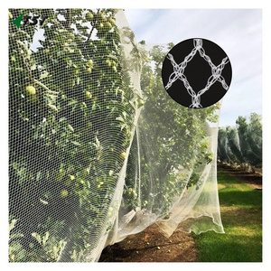 Wholesale Anti-bird Netting Blue HDPE Vineyard Bird Netting Cheap Anti Bird Netting