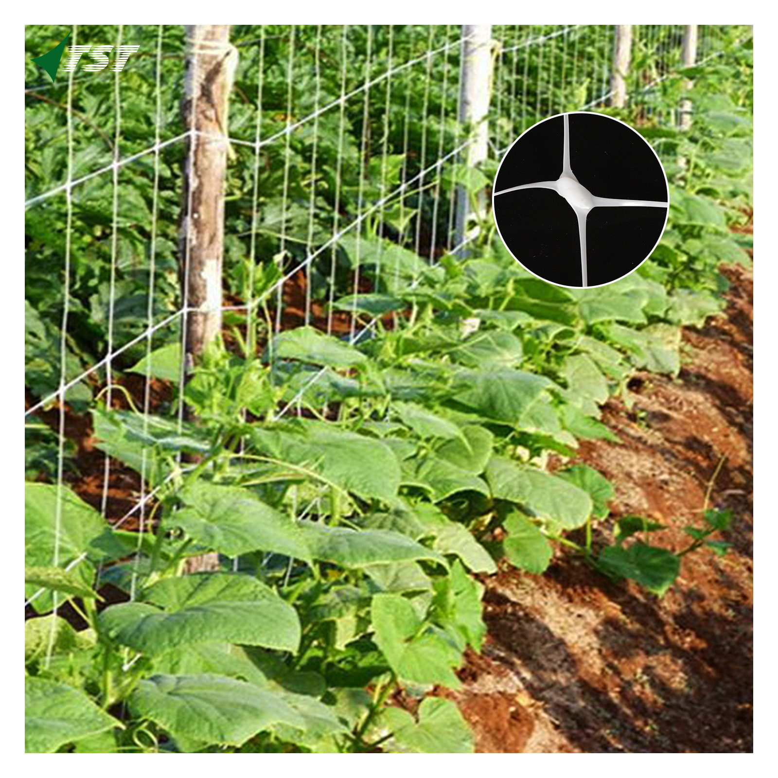 Strong Green Plant Climbing mesh net for Pea Cucumber great Support Plastic Mesh Netting