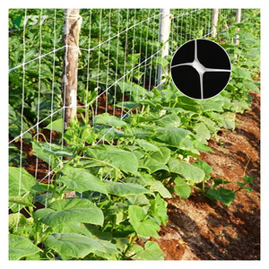 Strong Green Plant Climbing mesh net for Pea Cucumber great Support Plastic Mesh Netting