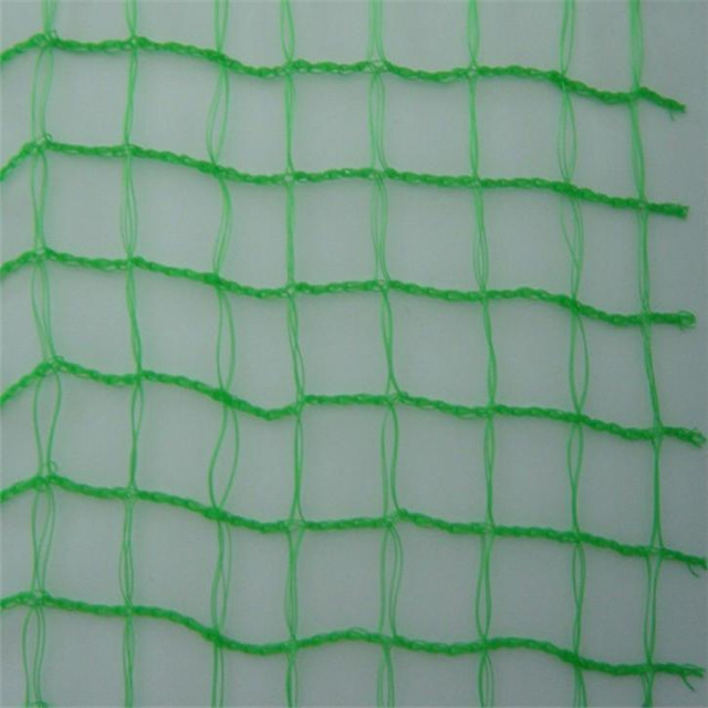 110/2D Nylon Mist Net Bird Catching Bird Net PE Material Heavy Duty Anti-Bird Netting for Protecting Crop