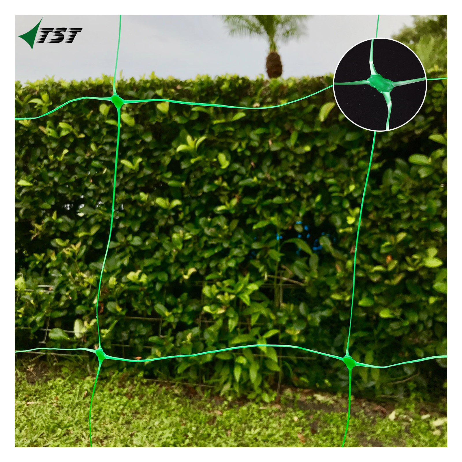 Strong Green Plant Climbing mesh net for Pea Cucumber great Support Plastic Mesh Netting