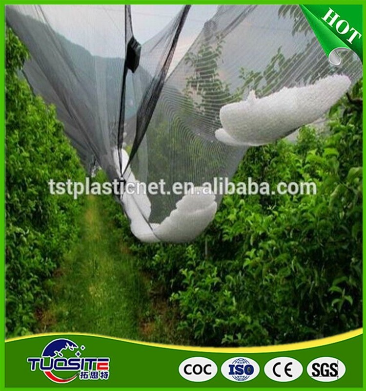 fruit/crops  protection net from hail damage for gardens HDPE hail guard net 6m*50m low cost for grape protection