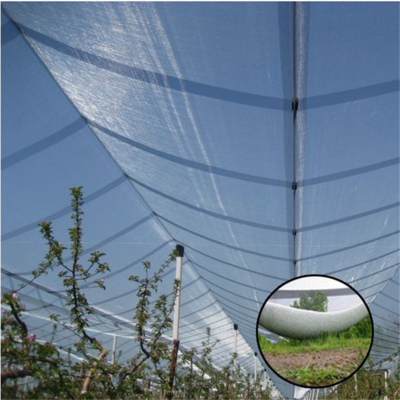 fruit/crops  protection net from hail damage for gardens HDPE hail guard net 6m*50m low cost for grape protection