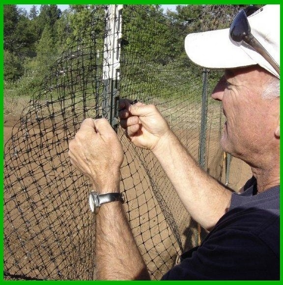 Bird Control Netting protecting crops from butterflies, birds, pigeons, rabbits, squirrels and other similar pests.