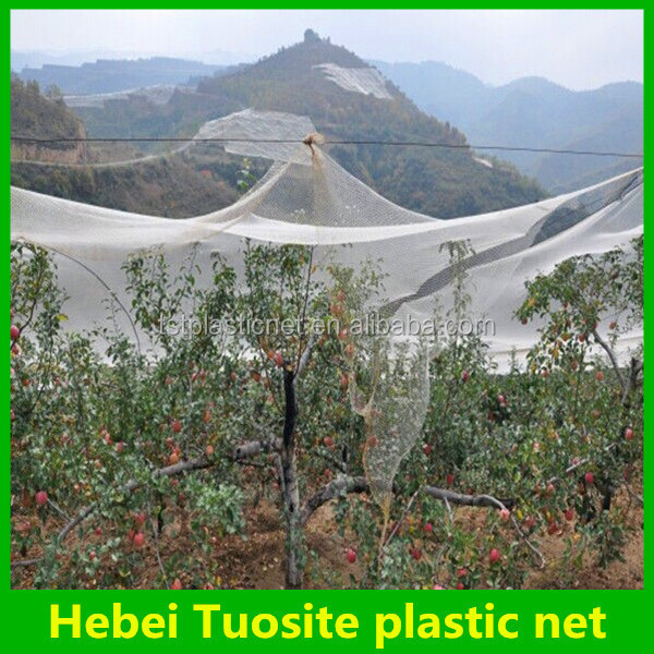 Anti Hail Protective Nets For Fruit Tree, White 50gsm Hail Net, Recycle Hdpe Netting