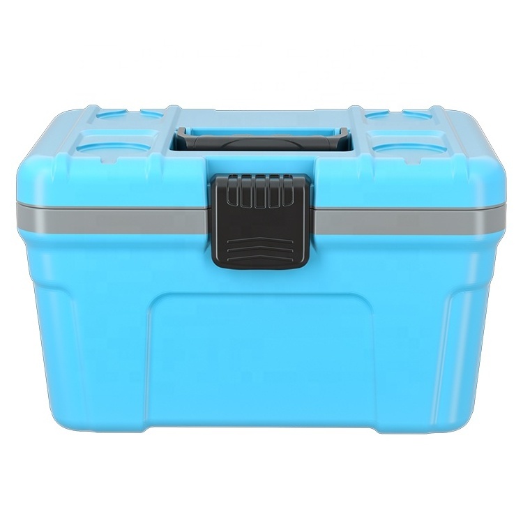 New Product Rotomolding Car Cooler 12L Mini Portable Electric Cooler Vaccine Chilly Bin For Truck Car RV Home And Camping