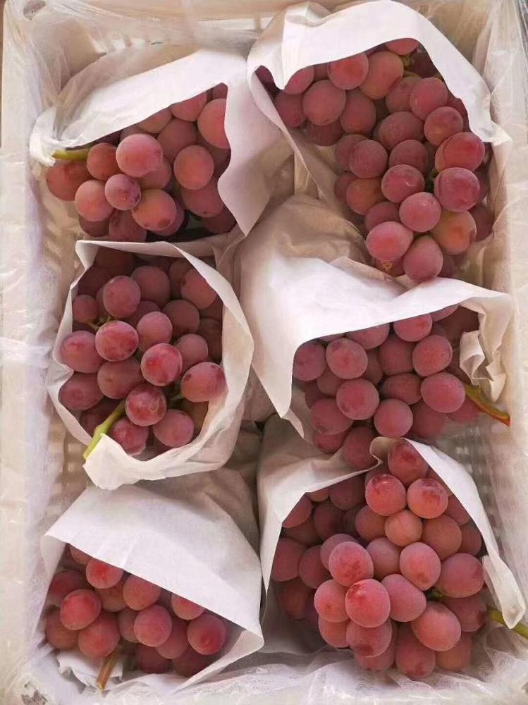 Chinese Yunnan fresh grape sweet grapes fresh grape fruit