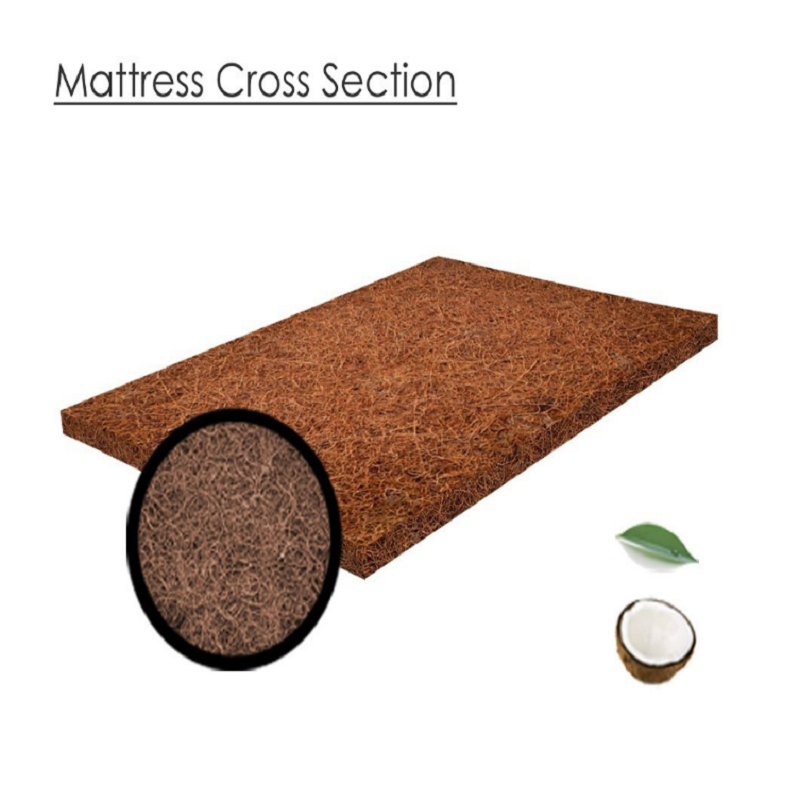 Comfortable High Elastic Rubberized Coir Sheet for Mattress and Sofa