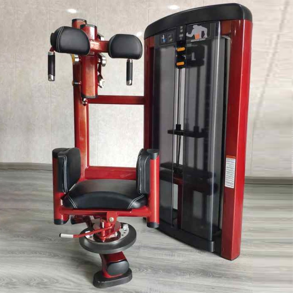 TSZD Super Sale Fitness Body Building Machine Commercial Color Customized Seated Torso Rotation Gym Equipment