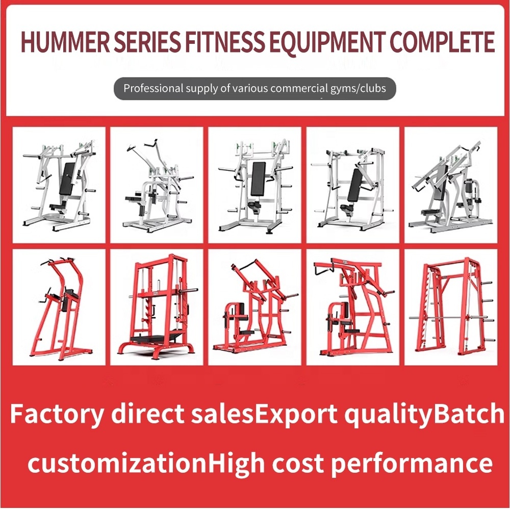 Wholesale Strength Training Manufacturer Commercial Gym Fitness Equipment Back Exercise Machine