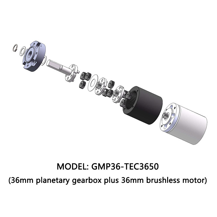 Micro brushless gear motor 12 volt 24v 36mm planetary gearbox reducer BLDC 3650 motor