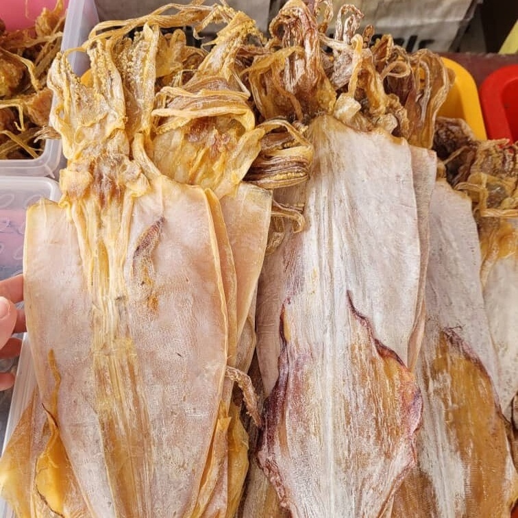 Top Quality dried squid dried seafood whole Calamari Ingredients From Vietnam Factory