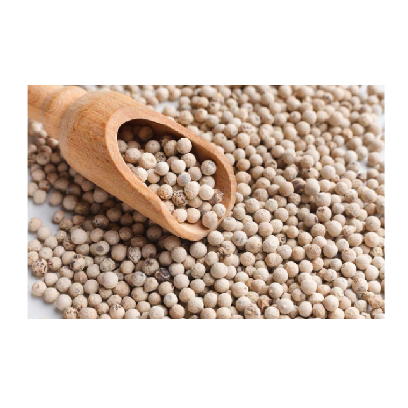 International Black Pepper Prices Competitive Low Packing Bag Food Seasoning OEM/ODM 550 GL Black Pepper Vietnam