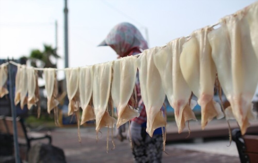 Top Quality dried squid dried seafood whole Calamari Ingredients From Vietnam Factory