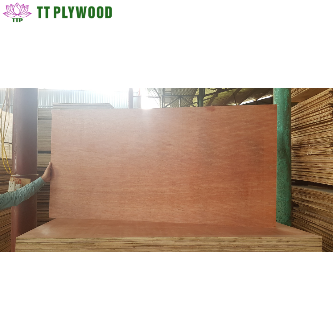 Good Quality Plywood Sheet Cheap Price Double-Sided Decoration Okume Bintangor Face Furniture Commercial Plywood from Vietnam