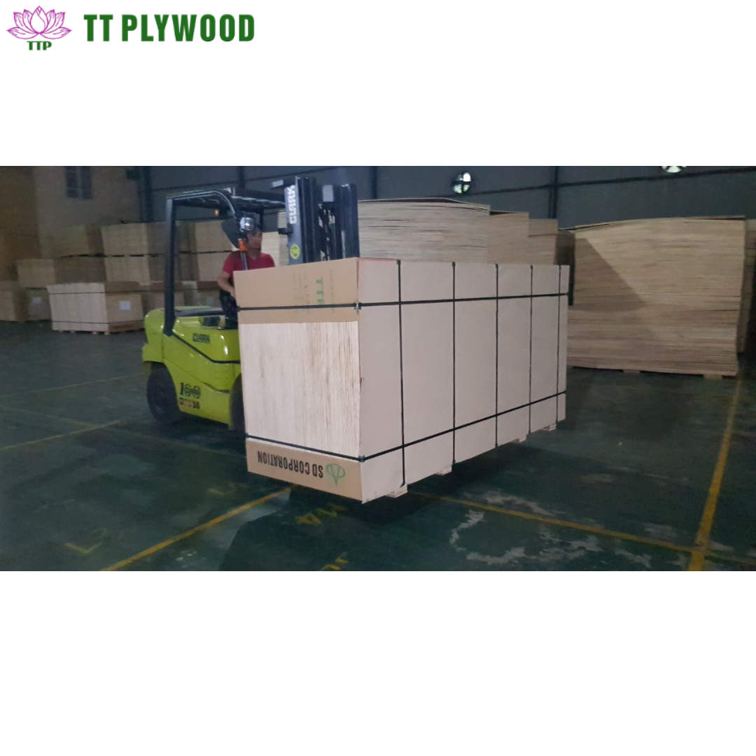 Plywood Sheet Furniture Glue High Quality Plywood Made in Vietnam MR Waterproof Commercial Plywood