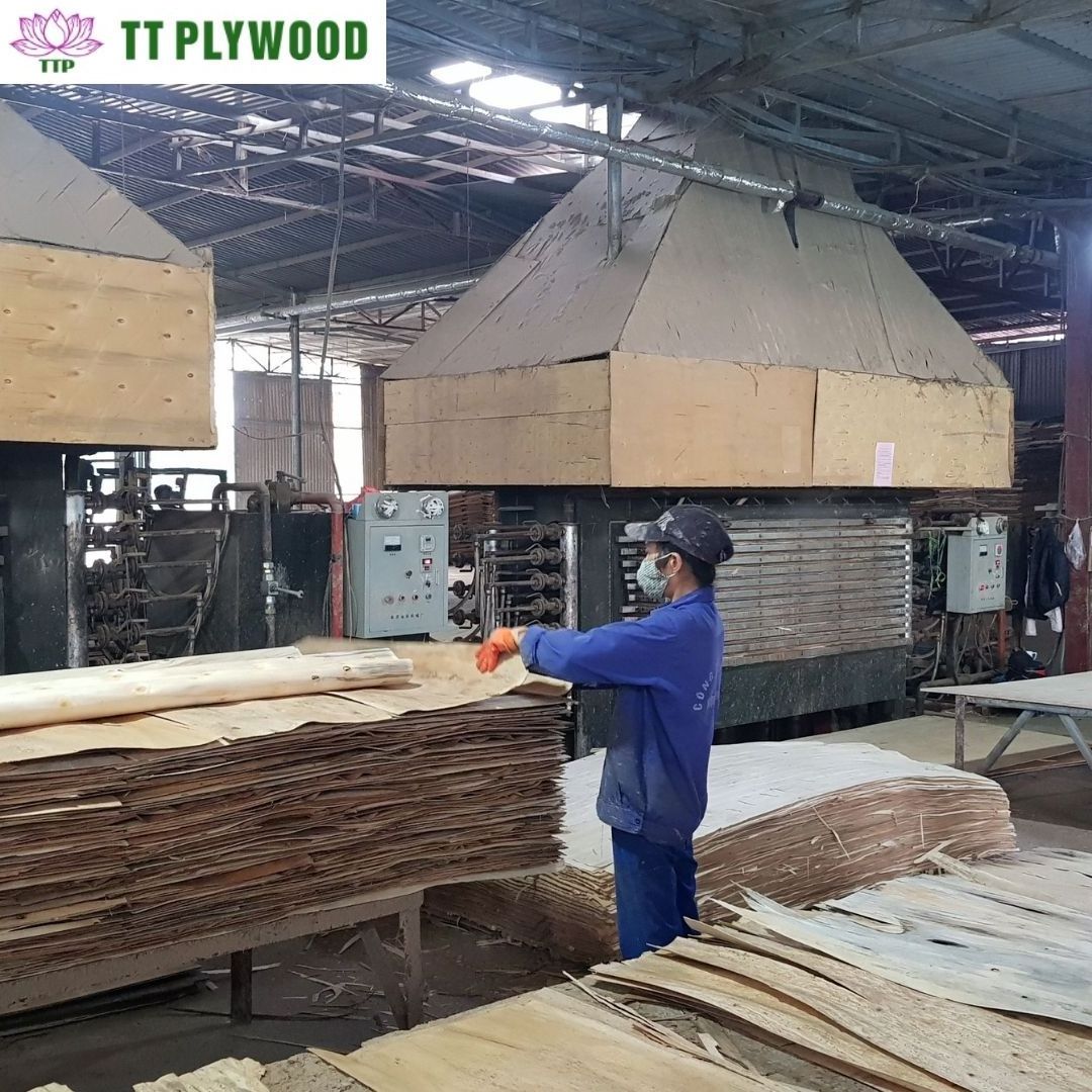 Plywood Sheet 2mm Styrax Third Class 5x10 Plywood Sheets Grade Timber Acacia Eucalyptus Industrial Packing Plywood