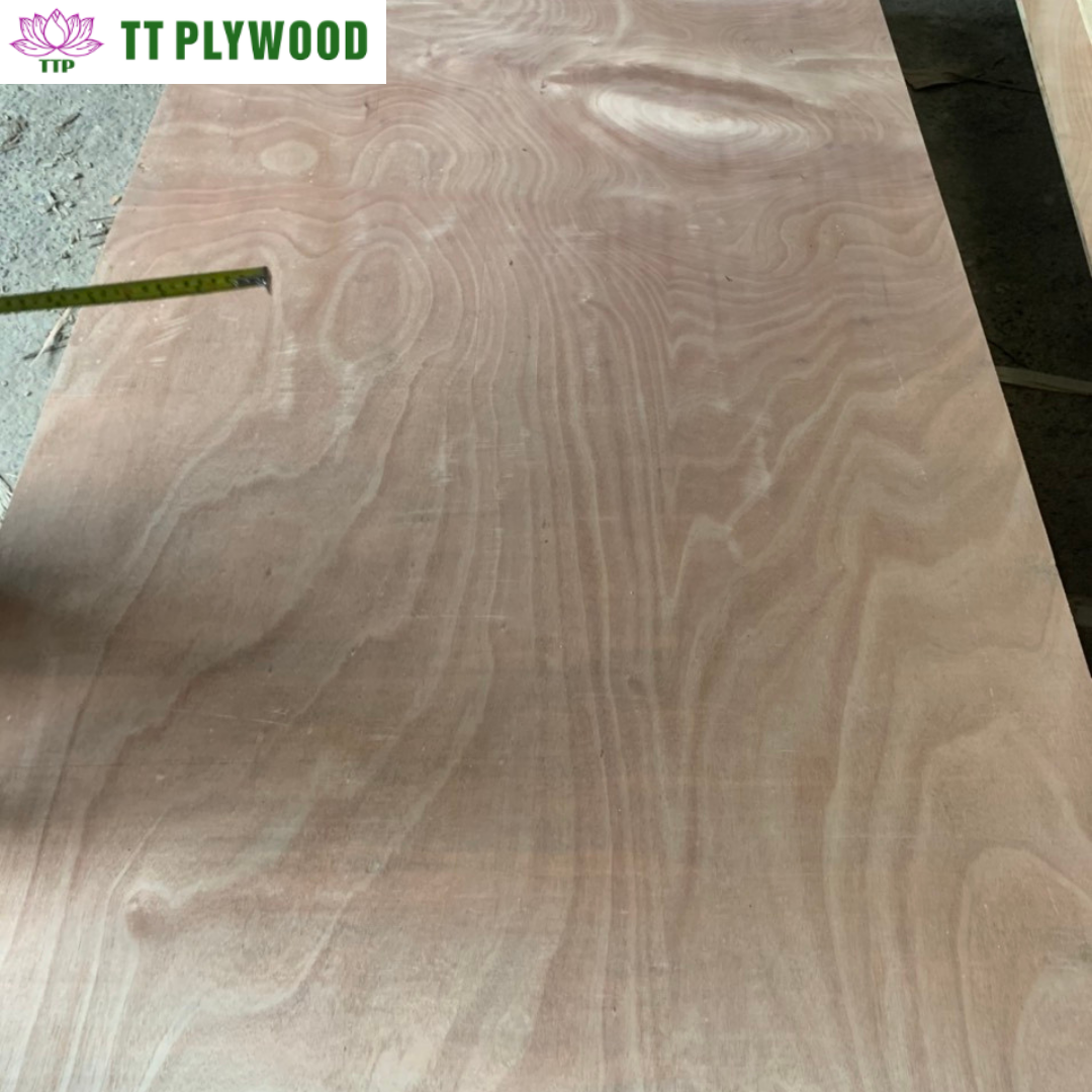 Good Quality Plywood Sheet Cheap Price Double-Sided Decoration Okume Bintangor Face Furniture Commercial Plywood from Vietnam