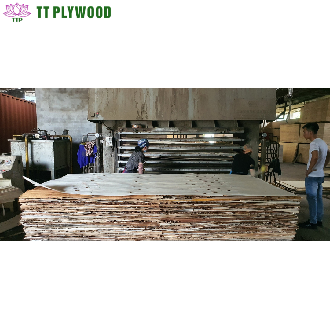 100% Pine Acacia Mixed Wood Core Plywood Cutting Size Thickness Double-Sided Decoration LVL Beam Made In Vietnam