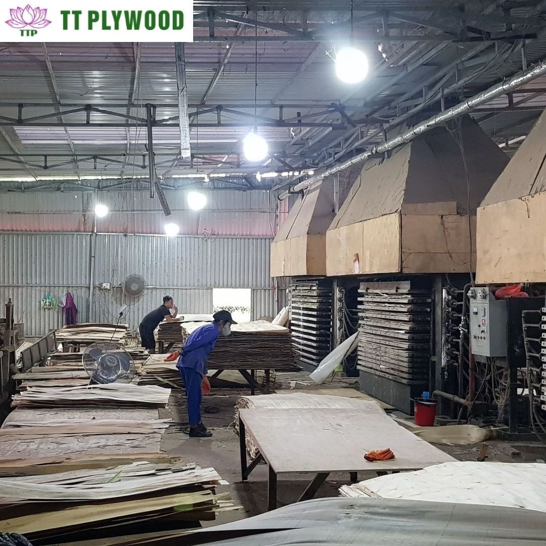 Plywood Sheet 2mm Styrax Third Class 5x10 Plywood Sheets Grade Timber Acacia Eucalyptus Industrial Packing Plywood