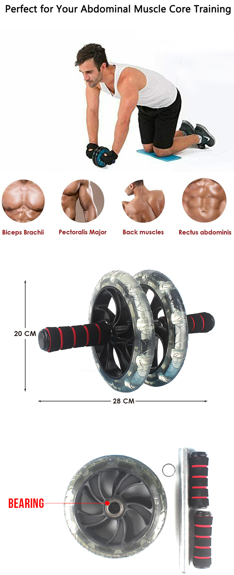 Hot Sell Double Silent Wheel Four Bearing Healthy Belly Wheel Roller For Fitness