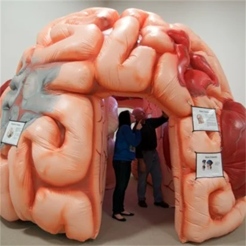 Giant inflatable brain model for Exhibit event